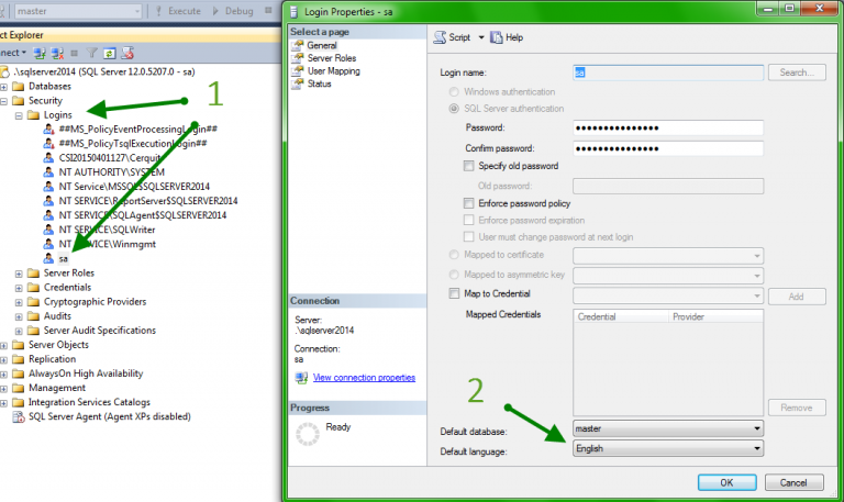 SQL Server – Vincy Boy!